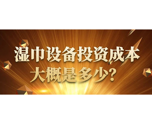 濕巾設(shè)備投資成本大概是多少？