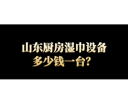 山東廚房濕巾設(shè)備多少錢一臺(tái)？