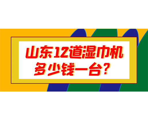 山東12道濕巾機多少錢一臺？